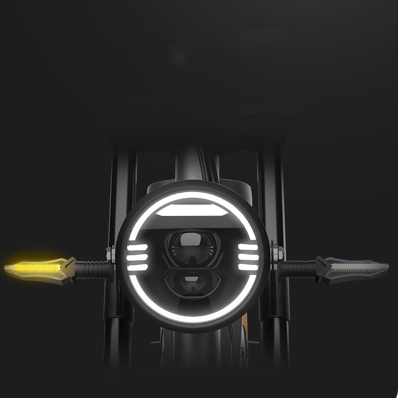 New Electric Bicycle with 20-Inch Large Tires and Seven-Stage Transmission Assistance – Luxury Model