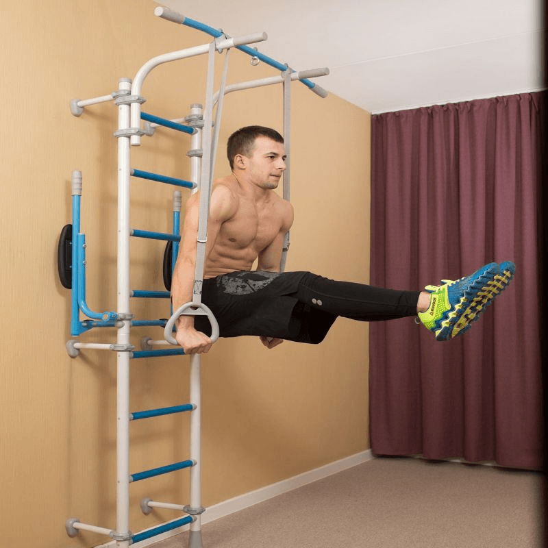 Wallbarz Gym EG-W-055 Ladder – Compact Home Gym for the Whole Family