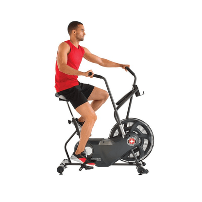 Schwinn Airdyne AD6i 100324 air bike