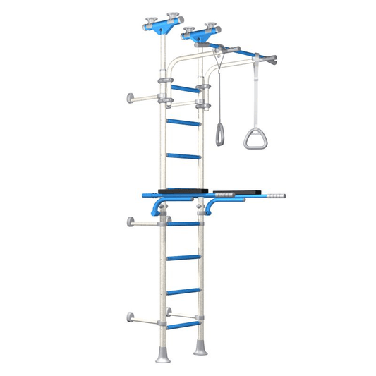 Wallbarz Gym EG-W-055 Ladder – Compact Home Gym for the Whole Family