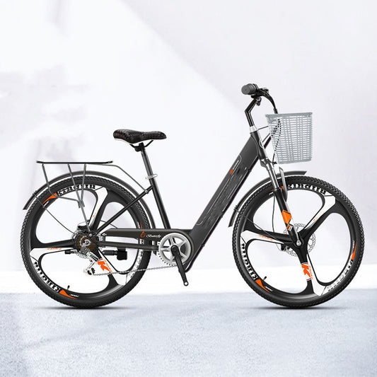 Lithium-Ion Electric Bicycle with Long Range